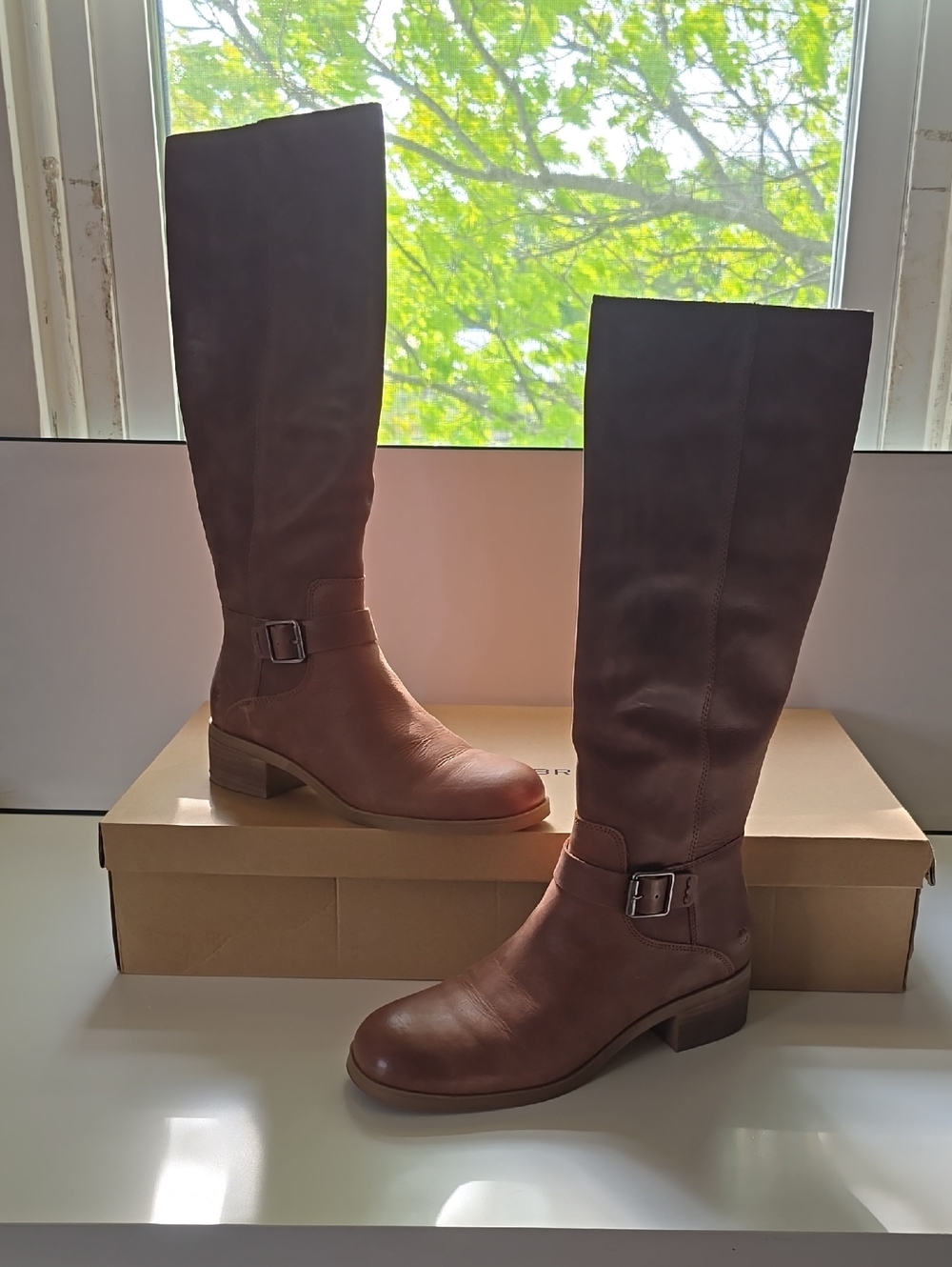 Lucky Brand LP-Infinita Roasted Brown Riding Boots